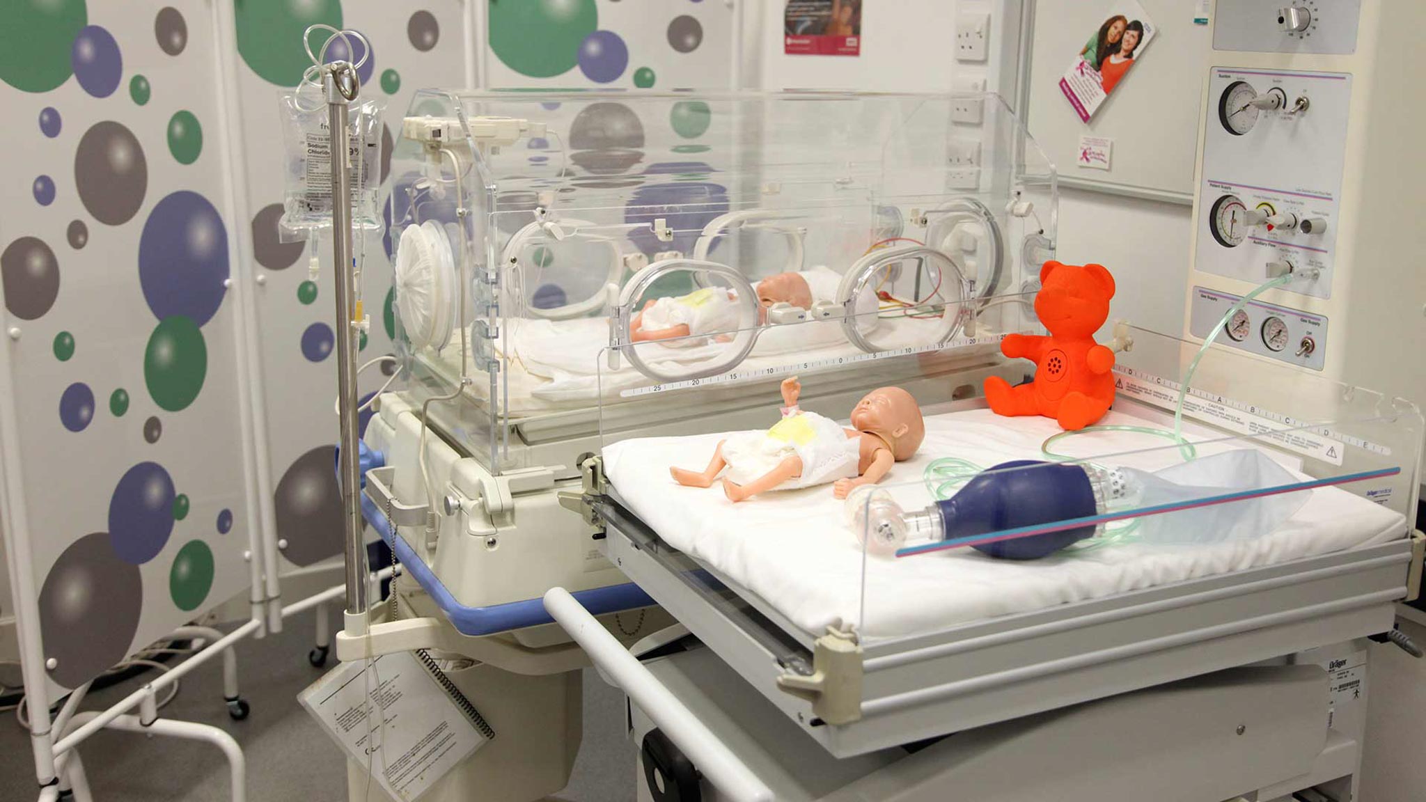 Simulated neonates